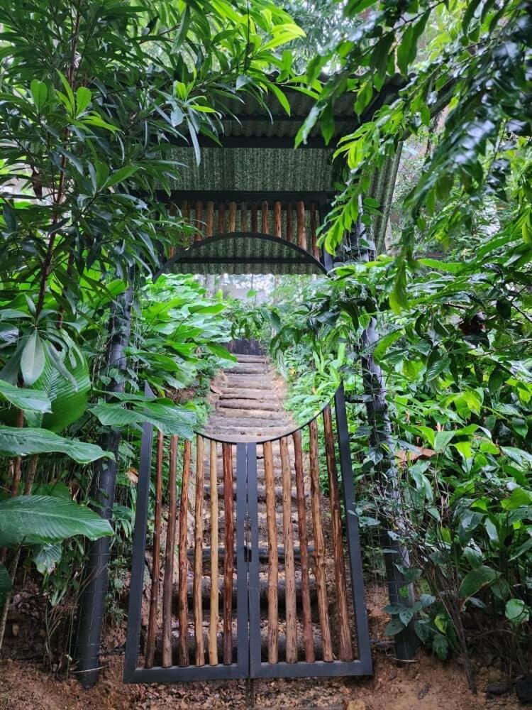 新古毛The Wildwood Retreat Kkb别墅 外观 照片
