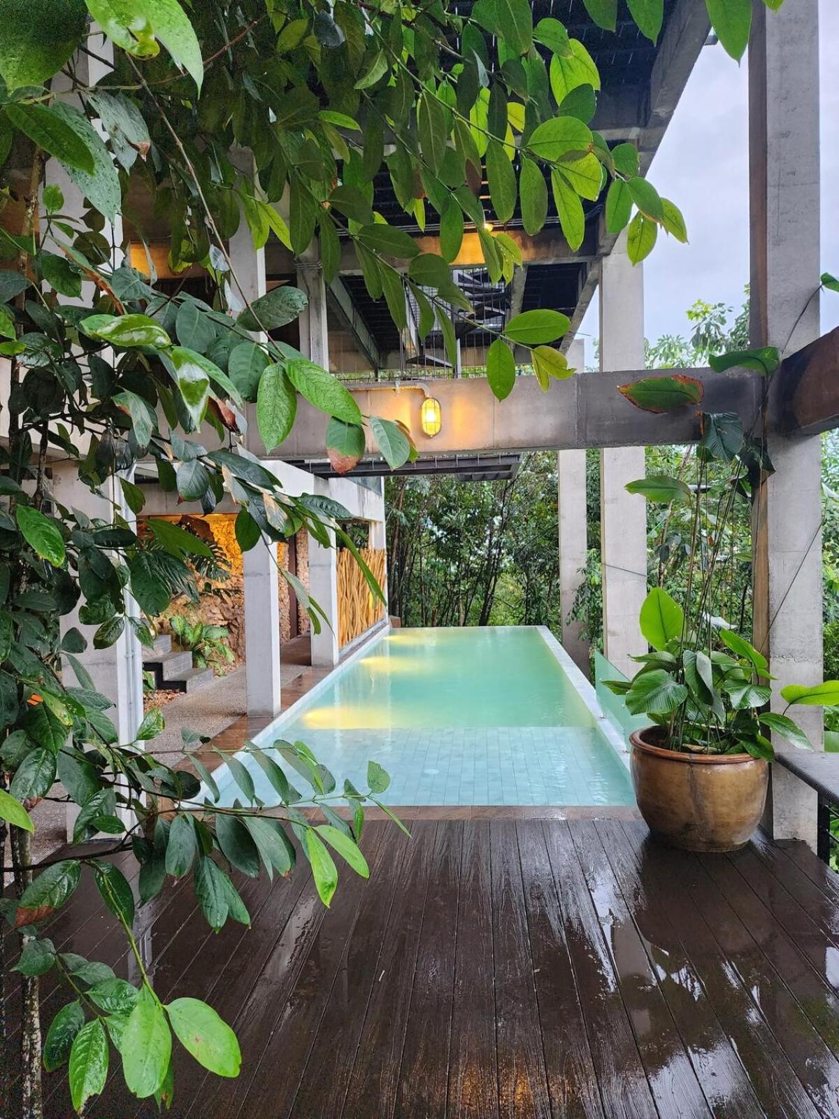 新古毛The Wildwood Retreat Kkb别墅 外观 照片