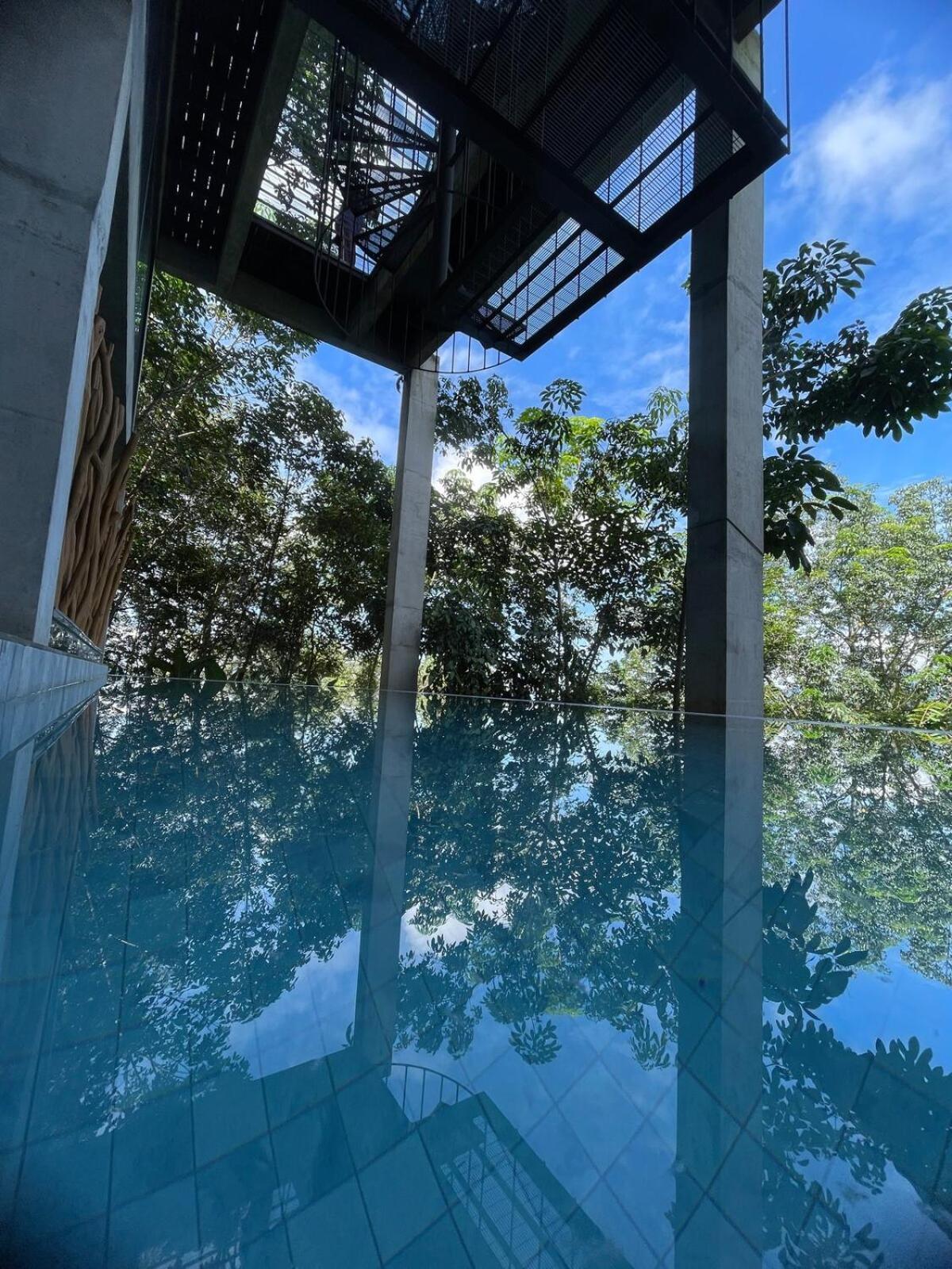 新古毛The Wildwood Retreat Kkb别墅 外观 照片